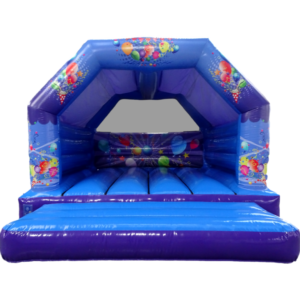 Bigger size of party theme Inflatable bouncer