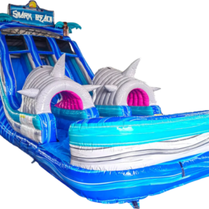 Shark Beach Adventure Double Lane Water Slide