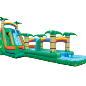 27ft inflatable Tropical Dual Lane Hyper Water Slide