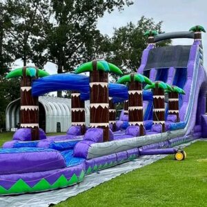 25ft Inflatable tropical water slide
