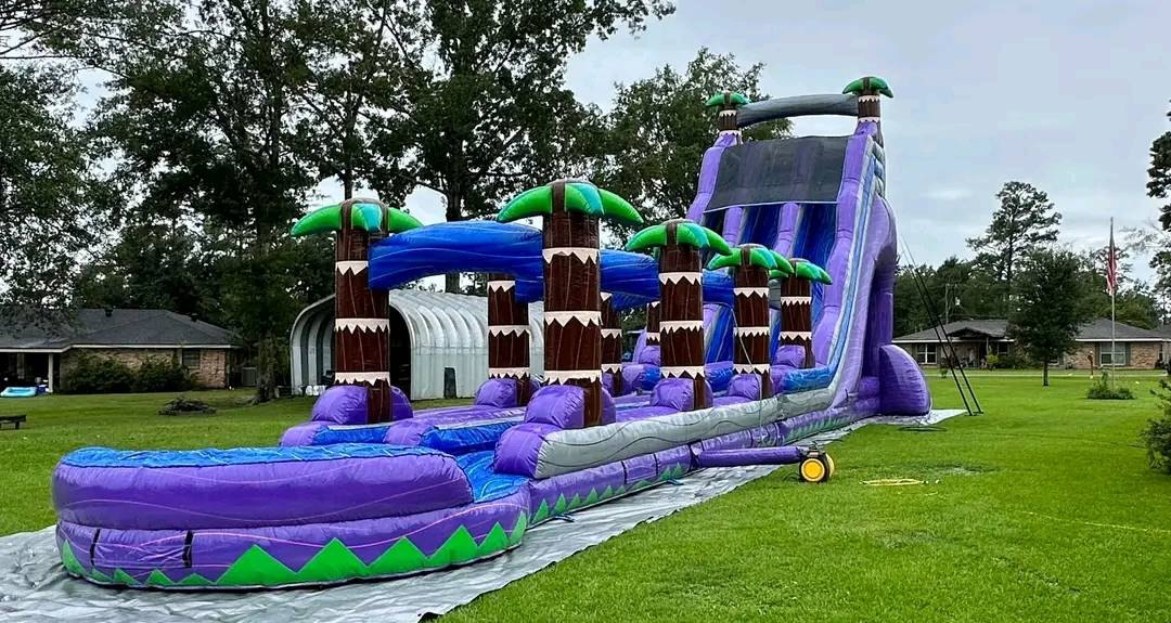 25ft Inflatable tropical water slide